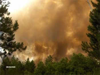 Scrub Fire, 25 June 2008 Scrub Fire, 25 June 2008