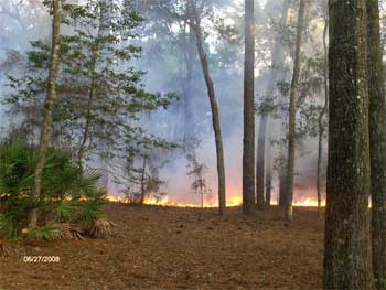 Fire Advancing from the West
